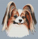 (image for) Happy Papillon